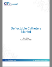 Global Deflectable Catheters Market Size, Share & Industry Analysis Report By Product Type, By End User, By Application, By Regional Outlook and Forecast, 2026 - 2033