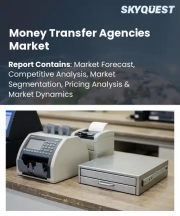 Money Transfer Agencies Market Size, Share, and Growth Analysis, By Remittance Channel Service, By Transaction Size Tier, By Remittance Purpose Focus, By Target Customer Segment, By Region - Industry Forecast 2026-2033