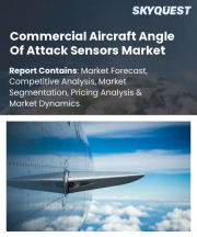 Commercial Aircraft Angle Of Attack Sensors Market Size, Share, and Growth Analysis, By Sensor Type, By Aircraft Type, By Fit Type, By Sensor Technology, By Output Interface, By Region - Industry Forecast 2026-2033