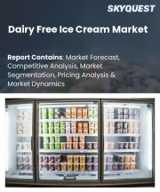 Dairy Free Ice Cream Market Size, Share, and Growth Analysis, By Source Type, By Product Type, By Flavor Type, By Distribution Channel, By Consumer Type, By Packaging Type, By Region - Industry Forecast 2026-2033
