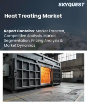 Heat Treating Market Size, Share, and Growth Analysis, By Process Type (Annealing, Hardening), By Equipment Type, By Material Type, By End User Industry, By Service Type, By Region - Industry Forecast 2026-2033