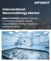 Interventional Neuroradiology Market Size, Share, and Growth Analysis, By Component, By Pathology Type, By End User, By Region - Industry Forecast 2026-2033