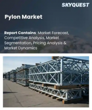 Pylon Market Size, Share, and Growth Analysis, By Material Type (Concrete Pylons, Structural Steel Pylons), By Application (Structural Bridge Support, High-Voltage Power Transmission Lines), By Foundation Type, By Region - Industry Forecast 2026-2033