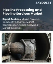 Pipeline Processing and Pipeline Services Market Size, Share, and Growth Analysis, By Component (Hardware Equipment, Software Tools), By Service Type, By Operation Medium, By Location Type, By Region - Industry Forecast 2026-2033