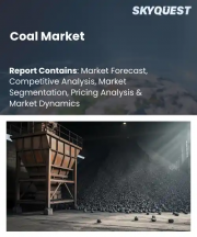 Coal Market Size, Share, and Growth Analysis, By Type (Thermal Coal, Metallurgical Coal (Coking Coal)), By Application, By Mining Method, By End User, By Distribution Channel, By Region - Industry Forecast 2026-2033