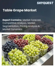 Table Grape Market Size, Share, and Growth Analysis, By Variety Category, By Color Profile, By Production Methodology, By Distribution Channel, By End-Use Application, By Region - Industry Forecast 2026-2033
