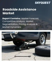 Roadside Assistance Market Size, Share, and Growth Analysis, By Service Type (Towing Services, Battery Jump Start), By Provider, By Vehicle Type, By Distribution, By Region - Industry Forecast 2026-2033