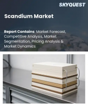 Scandium Market Size, Share, and Growth Analysis, By Core Product Form (Scandium Oxide, Scandium Metal Ingots), By Primary Metallurgical Downstream Application, By Region - Industry Forecast 2026-2033