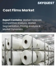 Cast Films Market Size, Share, and Growth Analysis, By Material Type, By Application, By Layer Structure, By End Use Industry, By Thickness, By Sales Channel, By Region - Industry Forecast 2026-2033