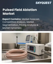 Pulsed Field Ablation Market Size, Share, and Growth Analysis, By Product Type, By Application, By End User, By Procedure Type, By Component, By Technology, By Region - Industry Forecast 2026-2033