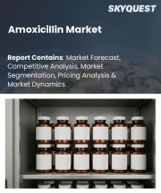 Amoxicillin Market Size, Share, and Growth Analysis, By Product Formulation Type, By Application Target Sector, By Sales Channel, By Distribution Channel, By Region - Industry Forecast 2026-2033