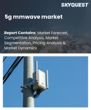 5g mmwave market Size, Share, and Growth Analysis, By Component, By Frequency Band, By Deployment Type, By Application, By End User, By Offering, By Region - Industry Forecast 2026-2033