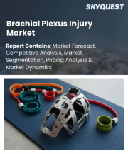 Brachial Plexus Injury Market Size, Share, and Growth Analysis, By Injury Type, By Severity, By Treatment Type, By Patient Group, By End User, By Region - Industry Forecast 2026-2033