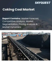 Coking Coal Market Size, Share, and Growth Analysis, By Type, By Grade, By Extraction Process, By End-User, By Distribution Channel, By Region - Industry Forecast 2026-2033