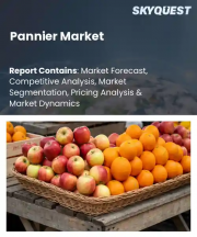 Pannier Market Size, Share, and Growth Analysis, By Material Type, By Vehicle Type, By Distribution Channel, By Region - Industry Forecast 2026-2033