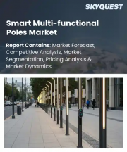 Smart Multi-functional Poles Market Size, Share, and Growth Analysis, By Component Layer, By Installation Type, By Application Area, By Distribution Channel, By Region - Industry Forecast 2026-2033