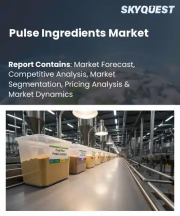 Pulse Ingredients Market Size, Share, and Growth Analysis, By Type (Pea Ingredients, Lentil Ingredients), By Ingredient, By Nature, By Application, By Function, By Distribution Channel, By Region - Industry Forecast 2026-2033