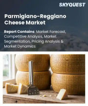Parmigiano-Reggiano Cheese Market Size, Share, and Growth Analysis, By Aging Period (12 to 18 Months, 18 to 24 Months), By Form Factor, By Sourcing Category, By Distribution Channel, By Region - Industry Forecast 2026-2033