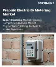 Prepaid Electricity Metering Market Size, Share, and Growth Analysis, By Technology, By Meter Type, By Communication Technology, By Payment Mode, By End User, By Installation Type, By Region - Industry Forecast 2026-2033
