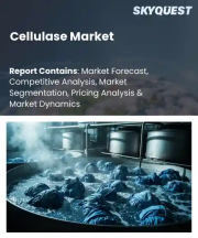 Cellulase Market Size, Share, and Growth Analysis, By Source (Fungi, Bacteria), By Type (Endoglucanase, Exoglucanase (Cellobiohydrolase)), By Form, By Application, By End User, By Region - Industry Forecast 2026-2033