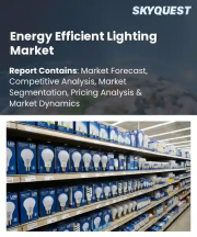 Energy Efficient Lighting Market Size, Share, and Growth Analysis, By Technology, By Product Type, By Installation Type, By Application, By End User, By Distribution Channel, By Region - Industry Forecast 2026-2033