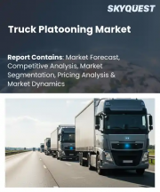 Truck Platooning Market Size, Share, and Growth Analysis, By Platooning Type, By Communication Technology, By Platoon Size, By Propulsion Type, By Component, By End User, By Region - Industry Forecast 2026-2033