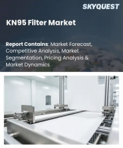KN95 Filter Market Size, Share, and Growth Analysis, By Product Type, By Application, By Filtration Efficiency, By Distribution Channel, By End User, By Region - Industry Forecast 2026-2033