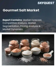 Gourmet Salt Market Size, Share, and Growth Analysis, By Product Type, By Source, By Form, By Application, By Distribution Channel, By End User, By Region - Industry Forecast 2026-2033