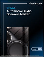 Global Automotive Audio Speakers Market 2026-2030