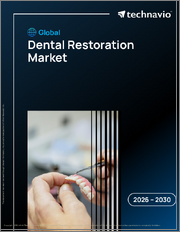 Global Dental Restoration Market 2026-2030