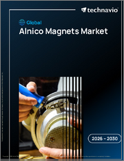 Global Alnico Magnets Market 2026-2030