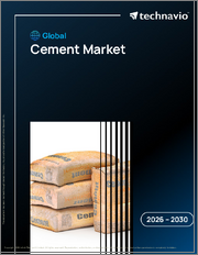 Global Cement Market 2026-2030