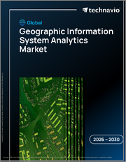 Global Geographic Information System Analytics Market 2026-2030