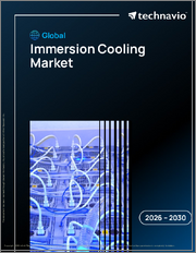 Global Immersion Cooling Market 2026-2030