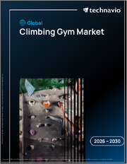 Global Climbing Gym Market 2026-2030