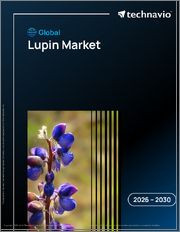 Global Lupin Market 2026-2030