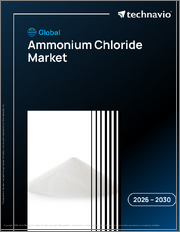 Global Ammonium Chloride Market 2026-2030