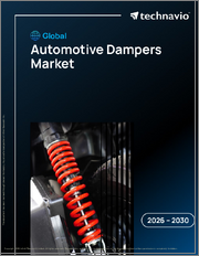 Global Automotive Dampers Market 2026-2030