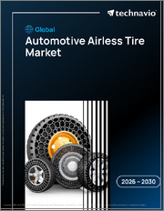 Global Automotive Airless Tire Market 2026-2030