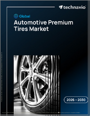 Global Automotive Premium Tires Market 2026-2030