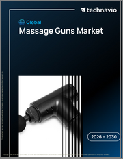Global Massage Guns Market 2026-2030