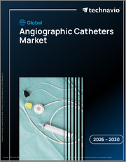 Global Angiographic Catheters Market 2026-2030