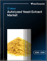 Global Autolyzed Yeast Extract Market 2026-2030