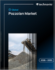 Global Pozzolan Market 2026-2030