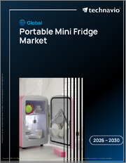 Global Portable Mini Fridge Market 2026-2030