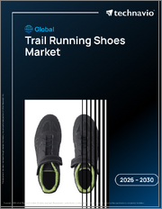 Global Trail Running Shoes Market 2026-2030