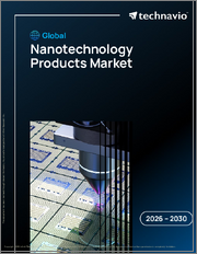 Global Nanotechnology Products Market 2026-2030