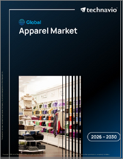 Global Apparel Market 2026-2030