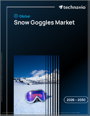 Global Snow Goggles Market 2026-2030