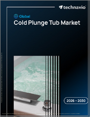 Global Cold Plunge Tub Market 2026-2030